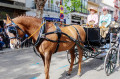 Seville April Fair, Spain