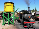 Steam Train in Colorado