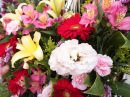 Lilies, Gerberas, Eustoma and Alstroemeria