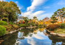 Osaka Castle with Autumn Leaves, Japan