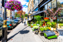 Florist Shop in London, UK