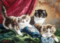 Three kittens