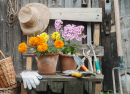 Flowers and Gardening Tools