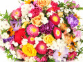 Bouquet of Bright Flowers