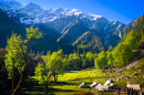 Parvati Valley, Himalayan Mountains