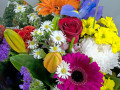 Bunch of Mixed Australian Flowers