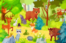 Wild Animals in the Forest