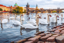 Charles Bridge, Prague, Czech Republic