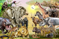 African Animals