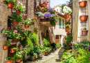 Medieval Town of Spello, Italy