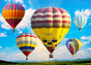 Hot Air Balloons over the Paddy Field