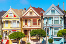 Painted Ladies, San Francisco, California