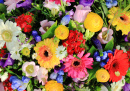 Mixed Flower Arrangement