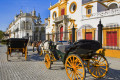 Real Maestranza de Caballeria de Sevilla, Spain