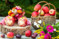 Rustic Still Life with Red Apples