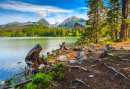 Mountain Lake in the High Tatras, Slovakia