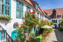 Flowers at the Facade, Flensburg, Germany