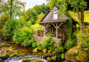 Old Watermill