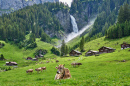 Altdorf Waterfall, Switzerland