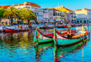 Moliceiro Boats, Aveiro, Portugal