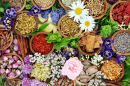 Herbs and Flowers