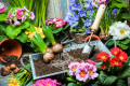 Gardening Tools and Flowers