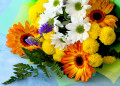 Bouquet of Gerbera with Chrysanthemums