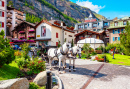 Horse Coach in the Centre of Zermatt, Switzerland