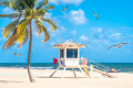 Beach with Palm Tree in Fort Lauderdale