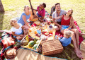 Happy Family Having Fun at Picnic