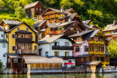 Nice Houses on the Lake Shore