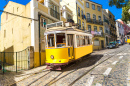 Vintage Tram in Lisbon City Center