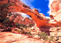 Hickman Bridge, Utah, USA