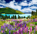 Landscape with Lake and Flowers