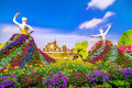 Miracle Garden in Dubai