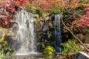 Autumn Waterfall in Rockford, Illinois