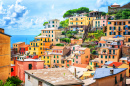 Riomaggiore Landscape