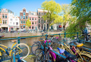 Amsterdam Canal Scene