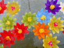 Colorful Flower Candles in Water