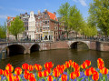 Bridges of Canal Ring, Amsterdam