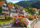 Schiltach in Black Forest, Germany