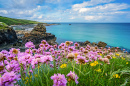 Coast of St Ives, Cornwall, England, UK