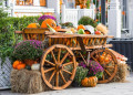 Harvest and Garden Decoration