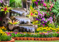 Garden Waterfall and Flowers