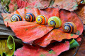 Cuban Painted Snails