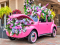 Pink Car and Flowers