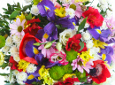 Bouquet of Spring Flowers