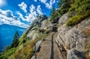 Sequoia National Park