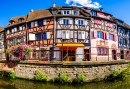 Half-Timbered Facades in Colmar, France