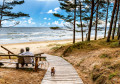 A Couple Resting at the Beach